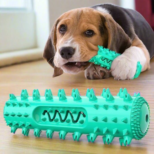 Dog Chew Toothbrush Stick Toy