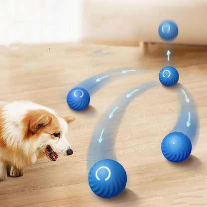 Active Rubber Dog Ball Toy