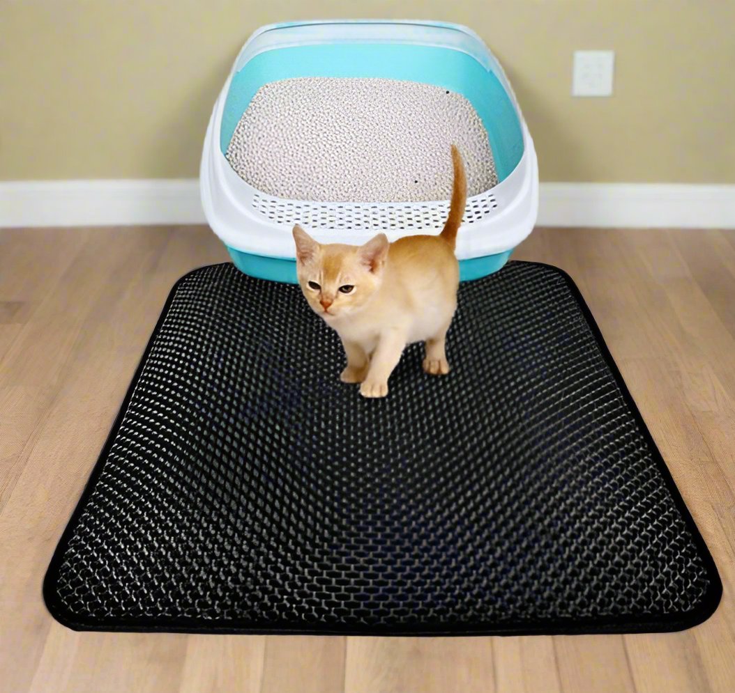 Double-Layer Honeycomb Cat Litter Mat