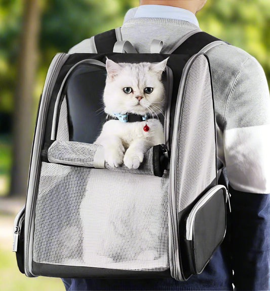 Bubble Backpack Pet Carrier