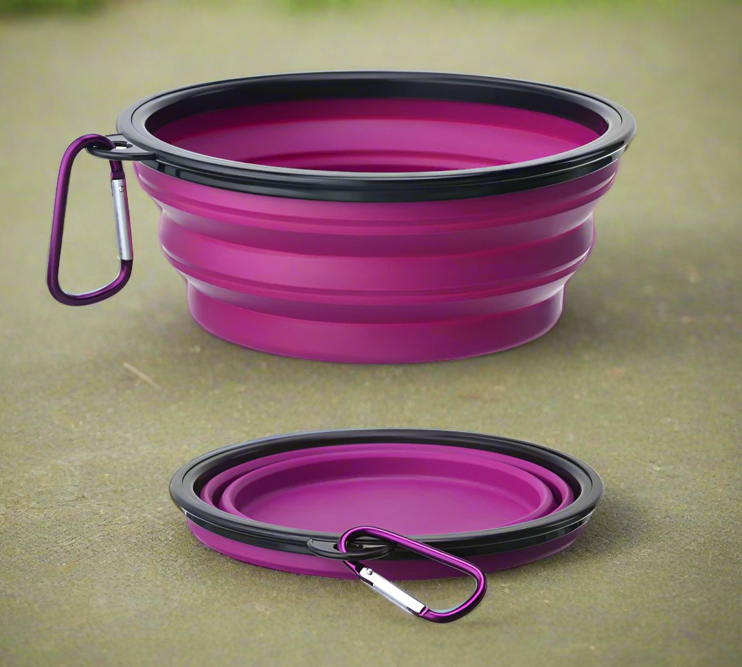 Portable Folding Pet Bowl with Keychain