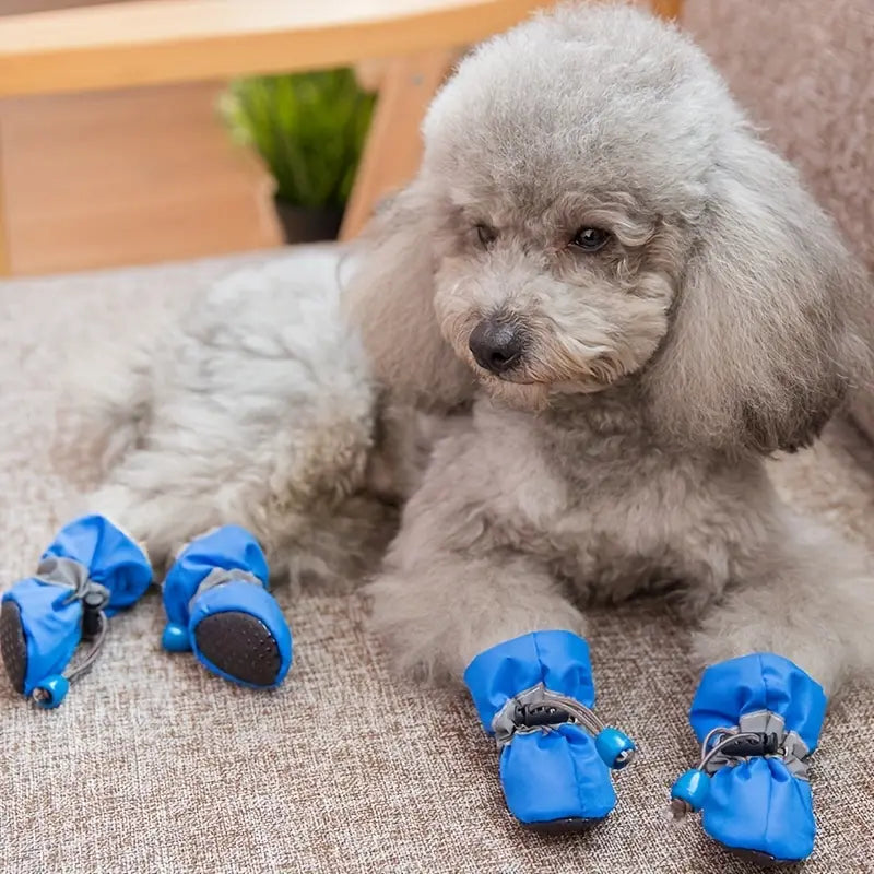 Water-Resistant Dog Shoes