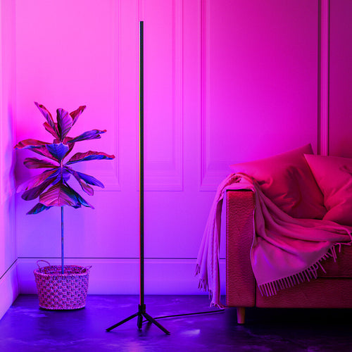 LED Floor Lamp