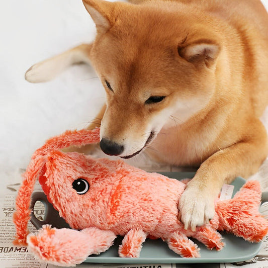 Fluffy Lobster Interactive Cat and Dog Toy