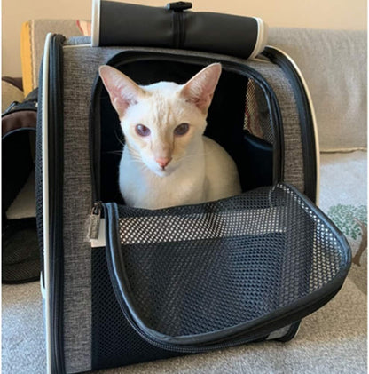 Bubble Backpack Pet Carrier