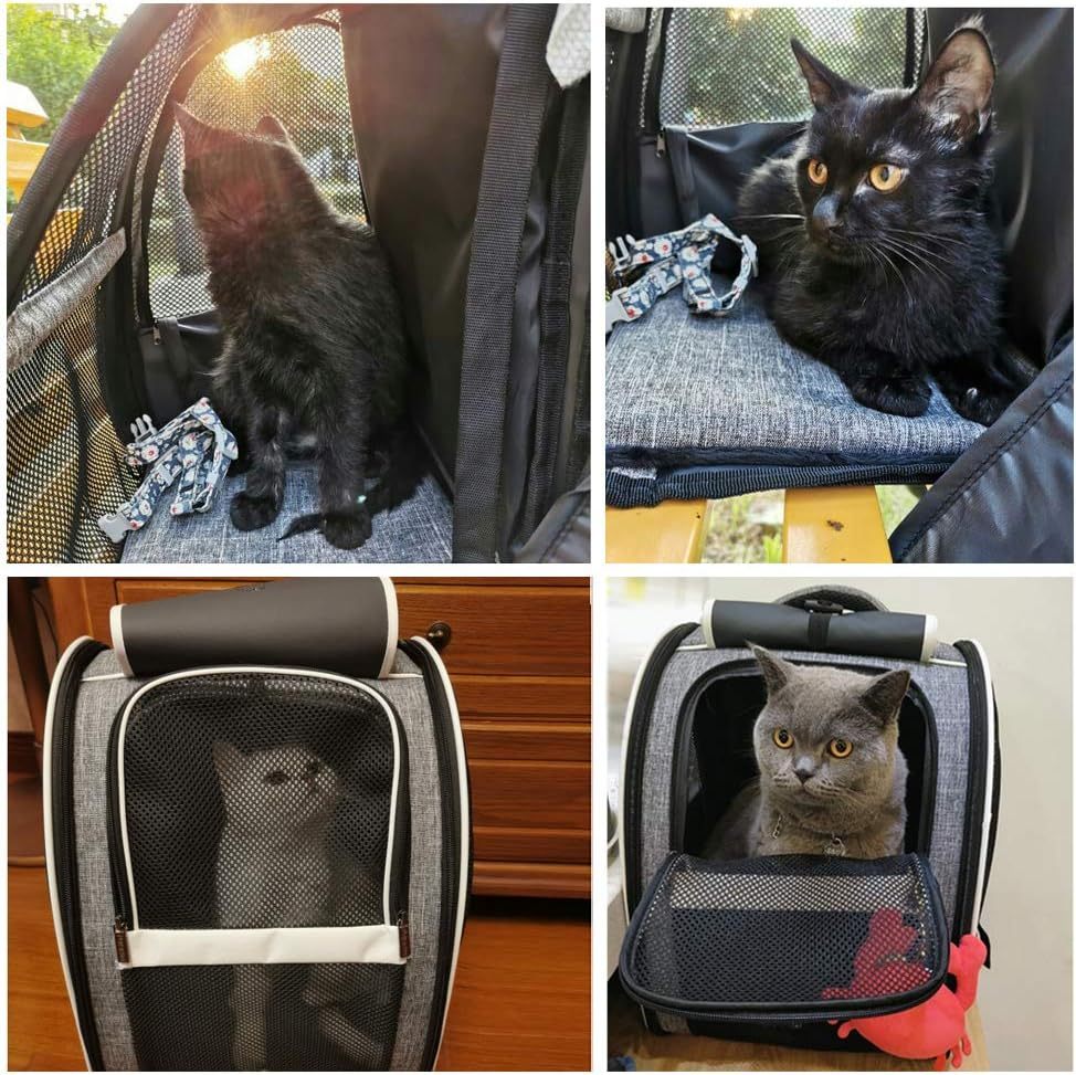 Bubble Backpack Pet Carrier