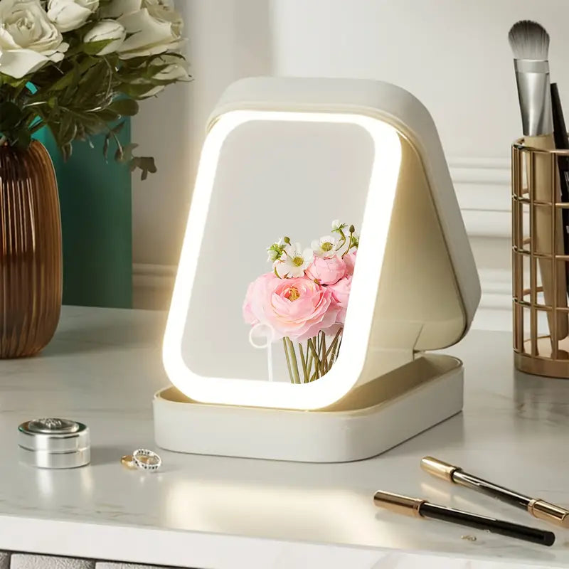 LED Travel Makeup Storage Box