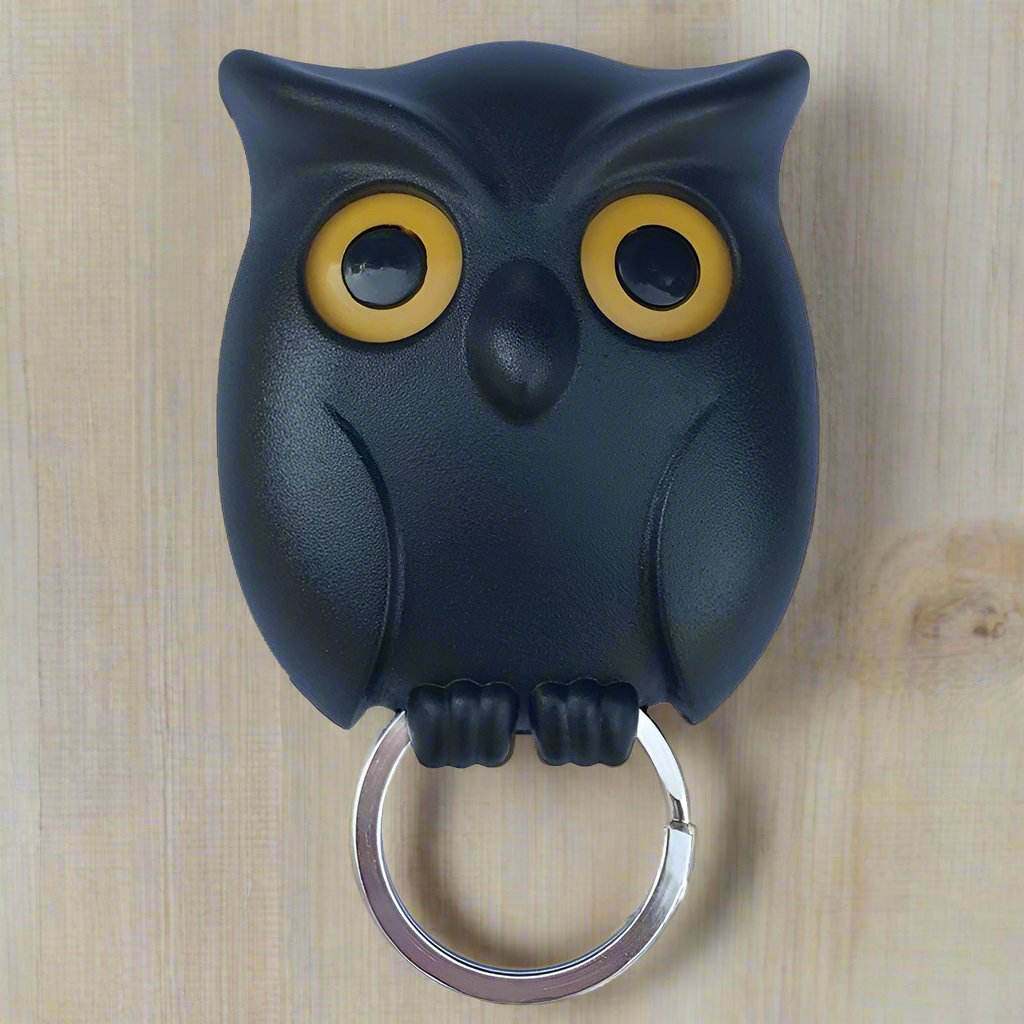 Magnetic Night Owl Key Holder