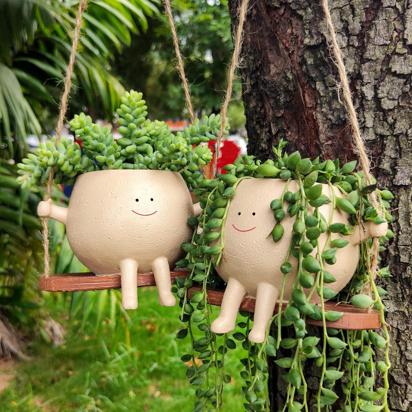 Swing Face Hanging Planter