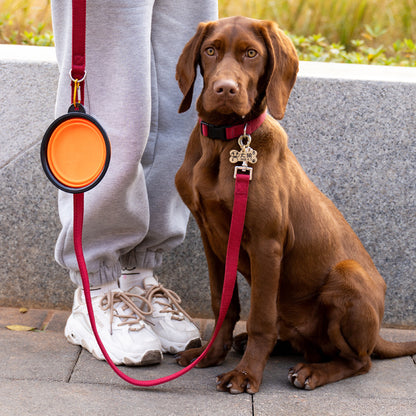 Portable Folding Pet Bowl with Keychain