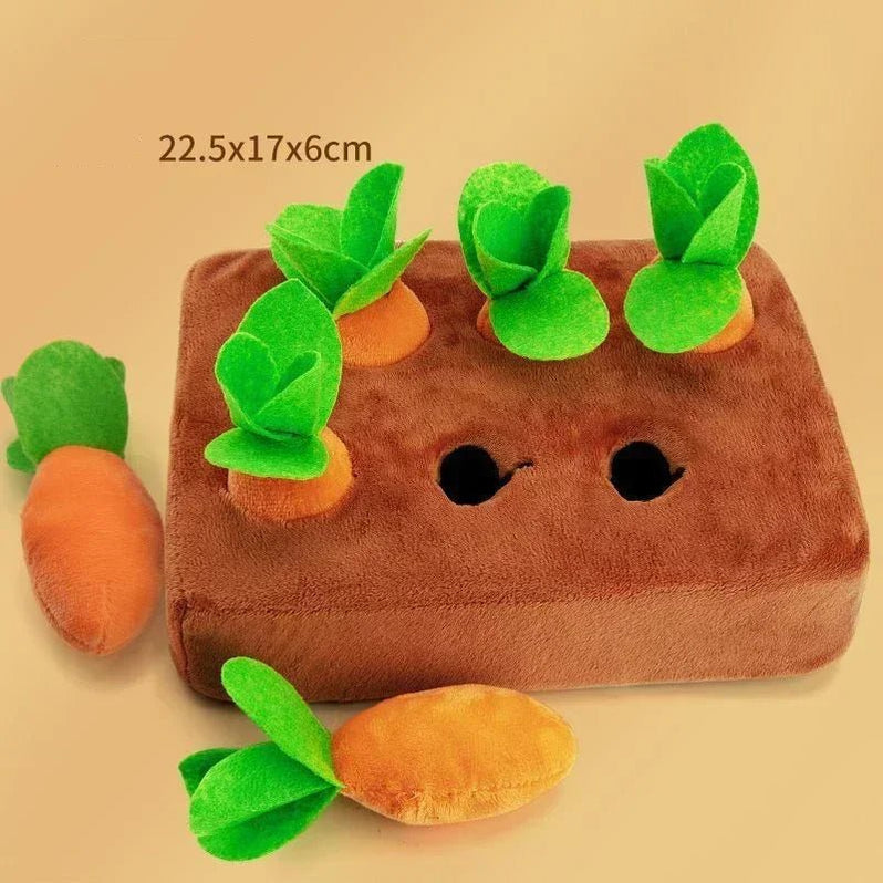 Interactive Carrot Pull Toy