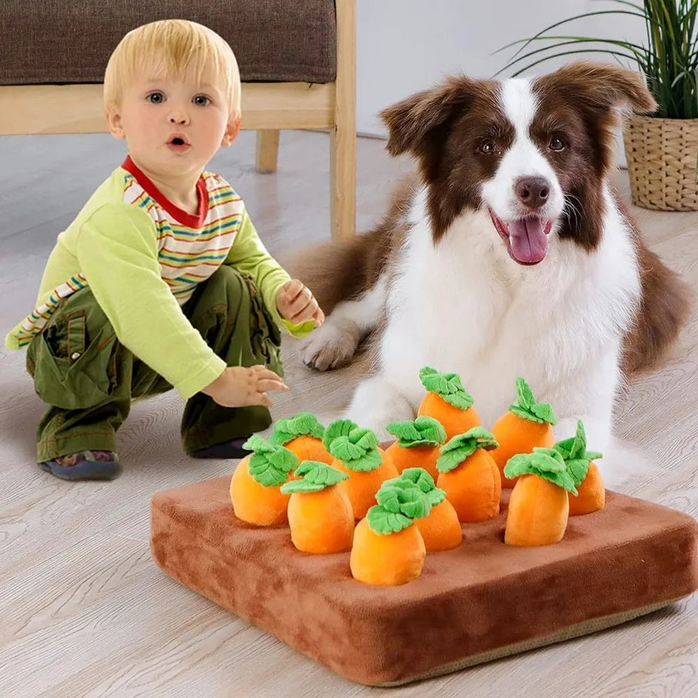 Interactive Carrot Pull Toy