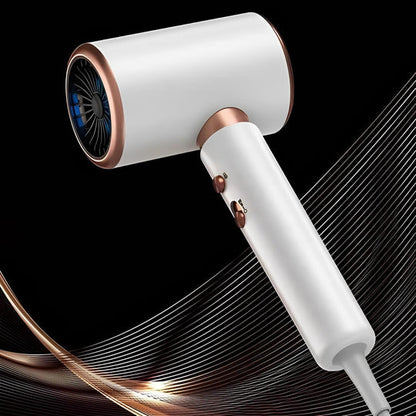 Professional Ionic Hair Dryer